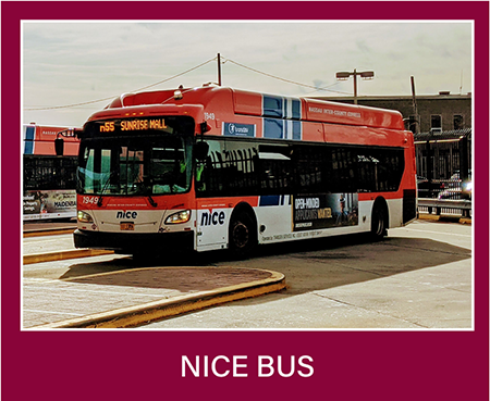 ProjectSamples_NICEBus